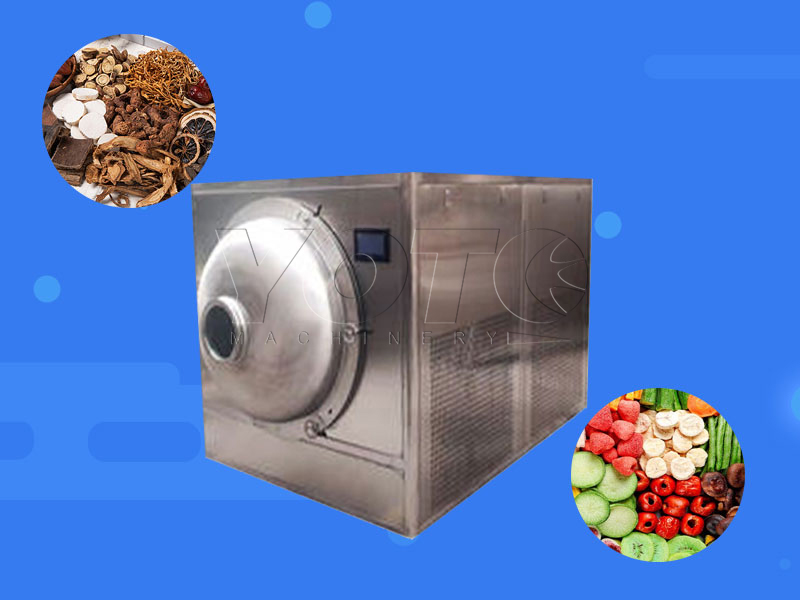 Vacuum Freeze Dryer