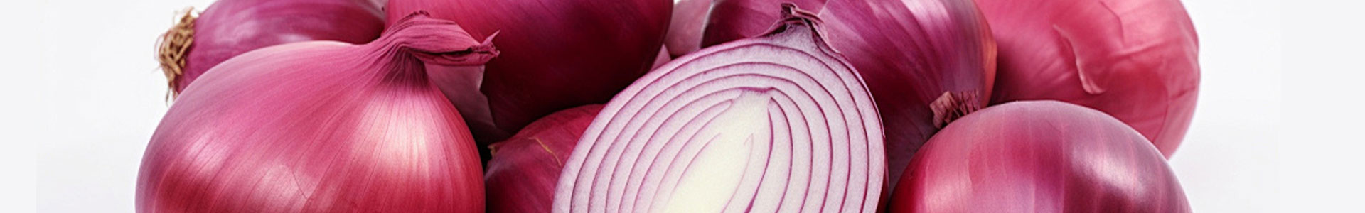Onion Processing Production Line