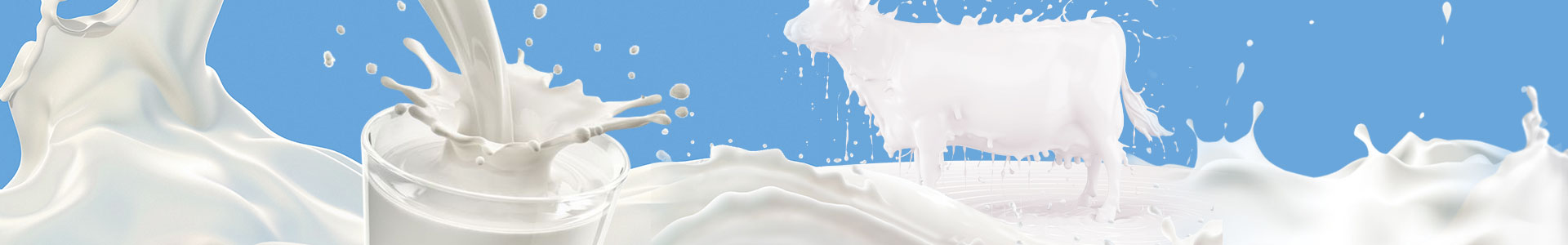 Pasteurization Production Line