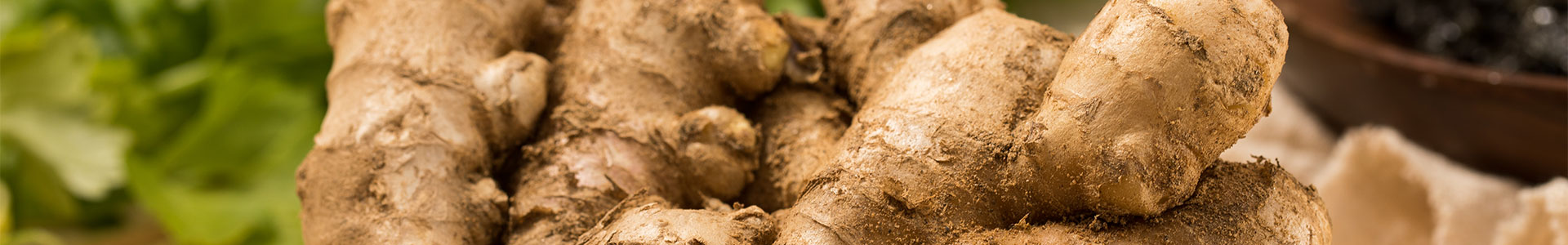 Ginger Processing Line