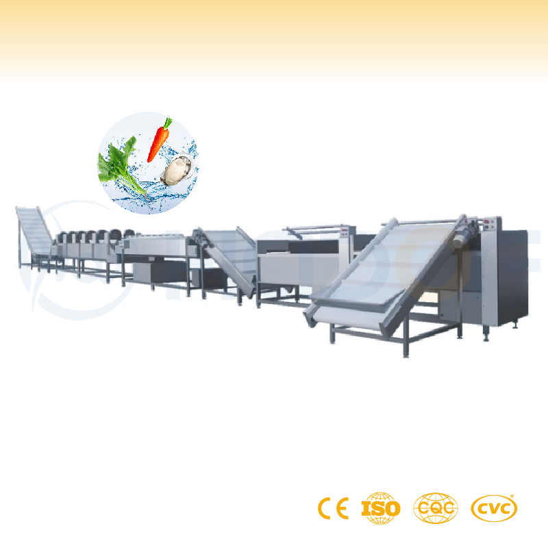 Vegetable and Fruit Washing Line