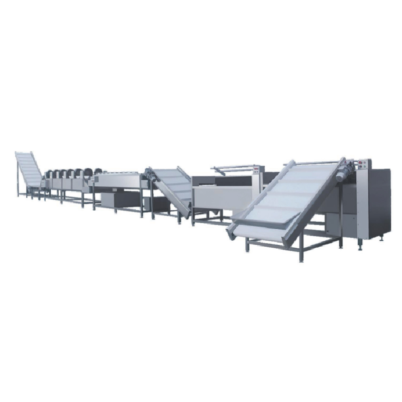 Tanzanian Vegetable Processor Improves Efficiency with Conveyor and Brush Washing Machine