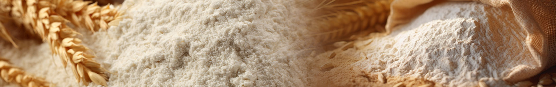 Wheat Flour Production Line