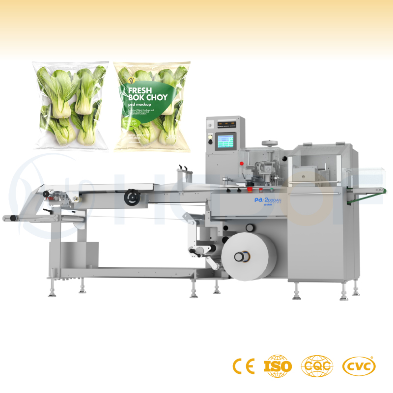 Pillow Packaging Machine