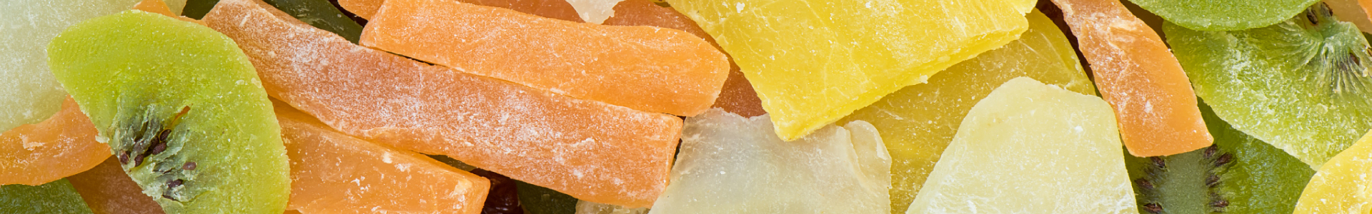 Vacuum Freeze Dryer