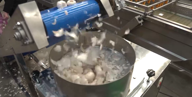 Bangladeshi Food Processor Boosts Garlic Processing with Clove Separator and Peeling Machine